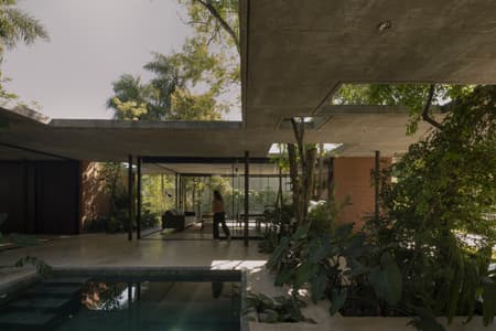 A Forest in the House